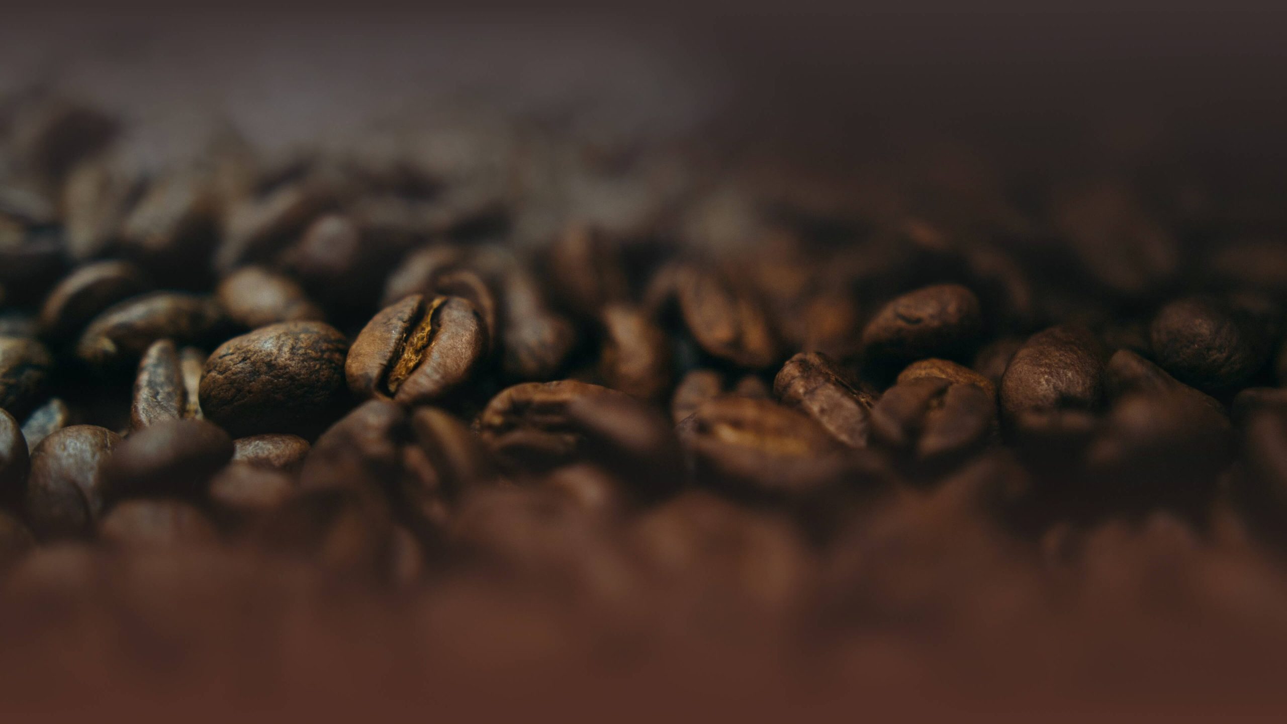 ROASTERS - Hong Kong